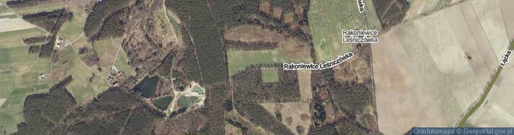 Zdjęcie satelitarne Rakoniewice Leśniczówka ul.